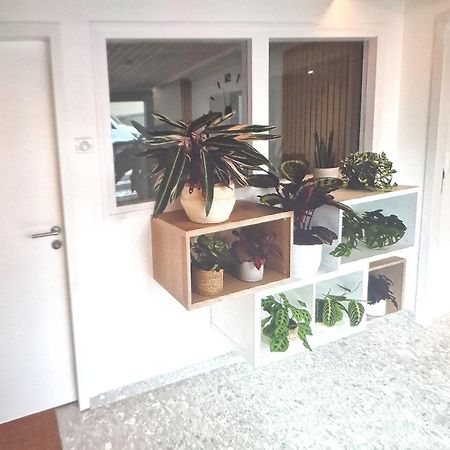 Moderne F3 - 10 Min Aeroport Cdg - Paris - Parc Asterix - Disneyland Paris - Tour Eiffel - Champs Elysee - 15 Min Parc Des Expositions Villepinte - 10 Min Le Bourget - 5 Min Du Golf International De Roissy- Jo 2024 Le Thillay Ngoại thất bức ảnh